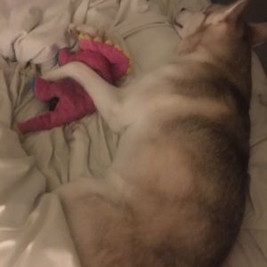 Meet your Posher, Leslie